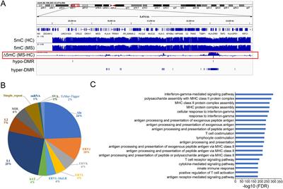 High-resolution DNA methylation screening of the major histocompatibility complex in multiple sclerosis