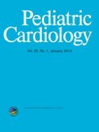 Correspondence to “Dichorionic Diamniotic Twin Pairs with Complex Congenital Heart Disease”