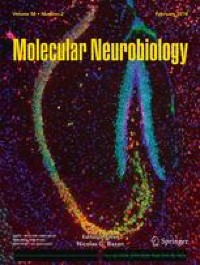Inhibiting Caveolin-1-Related Akt/mTOR Signaling Pathway Protects Against N-methyl-D-Aspartate Receptor Activation-Mediated Dysfunction of Blood–Brain Barrier in vitro