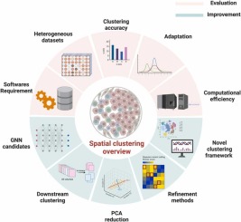 A comprehensive overview of graph neural network-based approaches to clustering for spatial transcriptomics