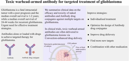 Toxic warhead-armed antibody for targeted treatment of glioblastoma