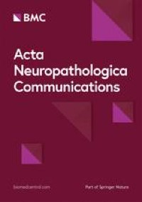 A novel BRAF::PTPRN2 fusion in meningioma: a case report