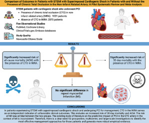 The impact of chronic total occlusion in non-infarct related arteries on patient outcomes following percutaneous coronary intervention for STEMI superimposed with cardiogenic shock: A pilot systematic review and meta-analysis