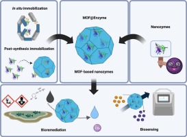Metal-organic frameworks for enzyme immobilization and nanozymes: A laccase-focused review