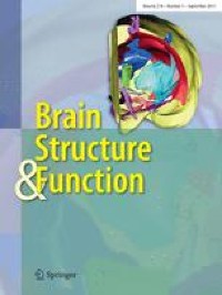Twelve weeks of physical exercise breaks with coordinative exercises at the workplace increase the sulcal depth and decrease gray matter volume in brain structures related to visuomotor processes