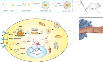 Synergistic effects of multidrug/material combination deliver system for anti-mutidrug-resistant tumor