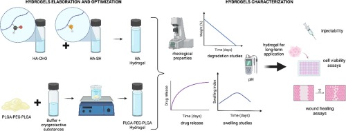 Smart biodegradable hydrogels: Drug-delivery platforms for treatment of chronic ophthalmic diseases affecting the back of the eye