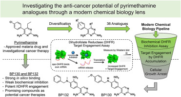 Investigating the anti-cancer potential of pyrimethamine analogues through a modern chemical biology lens