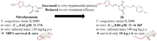 In vitro trypanocidal potency and in vivo treatment efficacy of oligomeric ethylene glycol-tethered nitrofurantoin derivatives