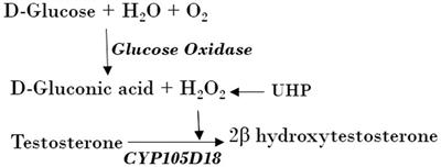 Analysis of critical residues for peroxygenation and improved peroxygenase activity via in situ H2O2 generation in CYP105D18