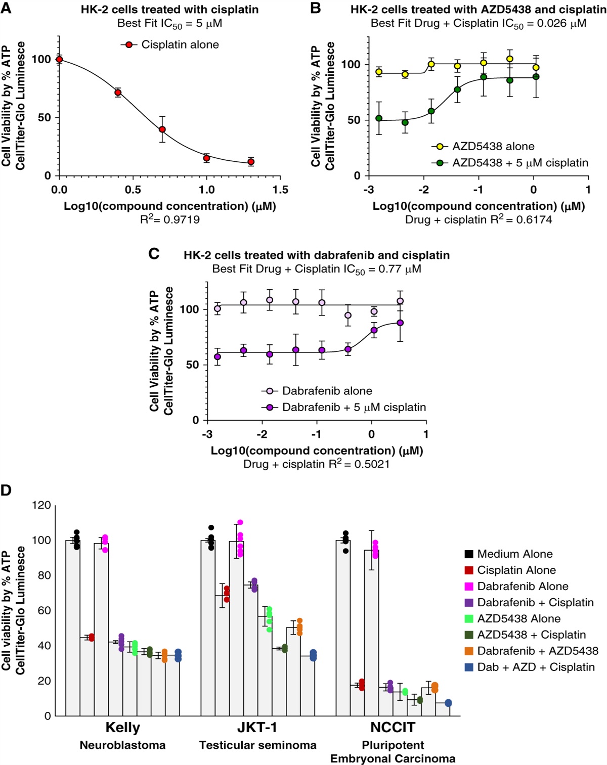 Repurposing AZD5438 and Dabrafenib for Cisplatin-Induced AKI