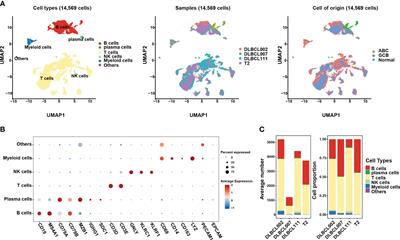 Unraveling the enigma of B cells in diffuse large B-cell lymphoma: unveiling cancer stem cell-like B cell subpopulation at single-cell resolution