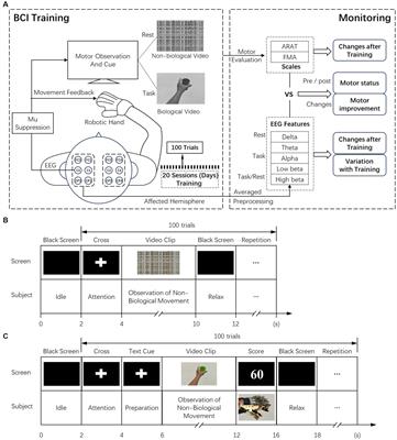 Brain oscillations in reflecting motor status and recovery induced by action observation-driven robotic hand intervention in chronic stroke