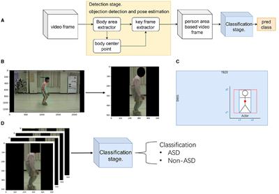Two-stage video-based convolutional neural networks for adult spinal deformity classification