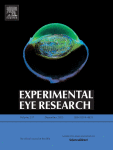 Verteporfin regulates corneal neovascularization through inhibition of YAP protein activation