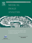 Modeling annotator preference and stochastic annotation error for medical image segmentation