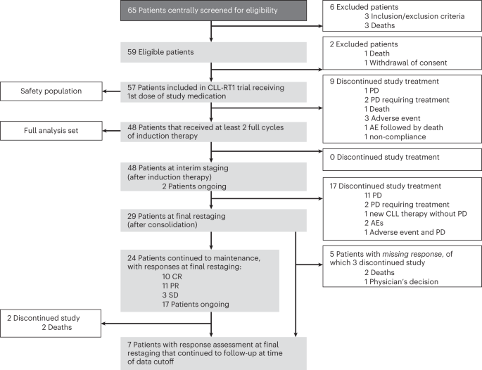 Tislelizumab plus zanubrutinib for Richter transformation: the phase 2 RT1 trial