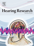 Measurements of bone-conducted sound in the chinchilla external ear