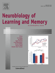 The effects of extinction and an explicitly unpaired treatment on the reinforcing properties of a Pavlovian conditioned stimulus