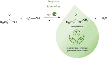 Methyl oleate for plant protection products formulations: enzymatic synthesis, reaction kinetics and application testing