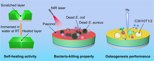 Incorporating pH/NIR responsive nanocontainers into a smart self-healing coating for a magnesium alloy with controlled drug release, bacteria killing and osteogenesis properties