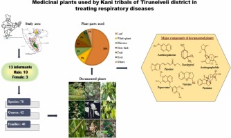 Ethnobotanical analysis of medicinal plants used by Kani tribals of Tirunelveli district (Tamil Nadu, India) in treating respiratory diseases