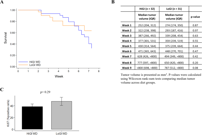 The effects of glycemic index on prostate cancer progression in a xenograft mouse model