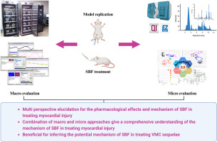 Elucidation for the pharmacological effects and mechanism of Shen Bai formula in treating myocardial injury based on energy metabolism and serum metabolomic approaches