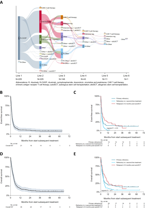 Treatment and outcomes for patients with relapsed or refractory diffuse large B-cell lymphoma: a contemporary, nationwide, population-based study in the Netherlands