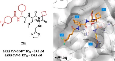 Discovery of α-Ketoamide inhibitors of SARS-CoV-2 main protease derived from quaternized P1 groups