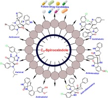 C3-Spirooxindoles: Divergent chemical synthesis and bioactivities (2018–2023)