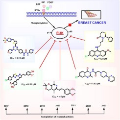 A comprehensive review of small molecules targeting PI3K pathway: Exploring the structural development for the treatment of breast cancer