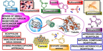Tubulin inhibitors. Selected scaffolds and main trends in the design of novel anticancer and antiparasitic agents