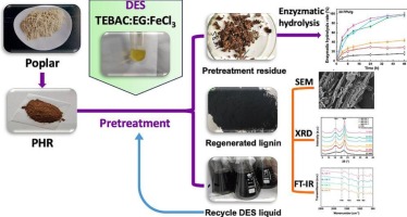 Unveiling the potential of novel recyclable deep eutectic solvent pretreatment: Effective separation of lignin from poplar hydrolyzed residue