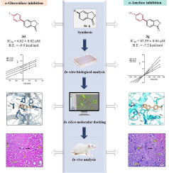 Identification of isobenzofuranone derivatives as promising antidiabetic agents: Synthesis, in vitro and in vivo inhibition of α-glucosidase and α-amylase, computational docking analysis and molecular dynamics simulations