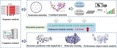 Semi-rationally designed site-saturation mutation of Helicobacter pylori α-1,2-fucosyltransferase for improved catalytic activity and thermostability