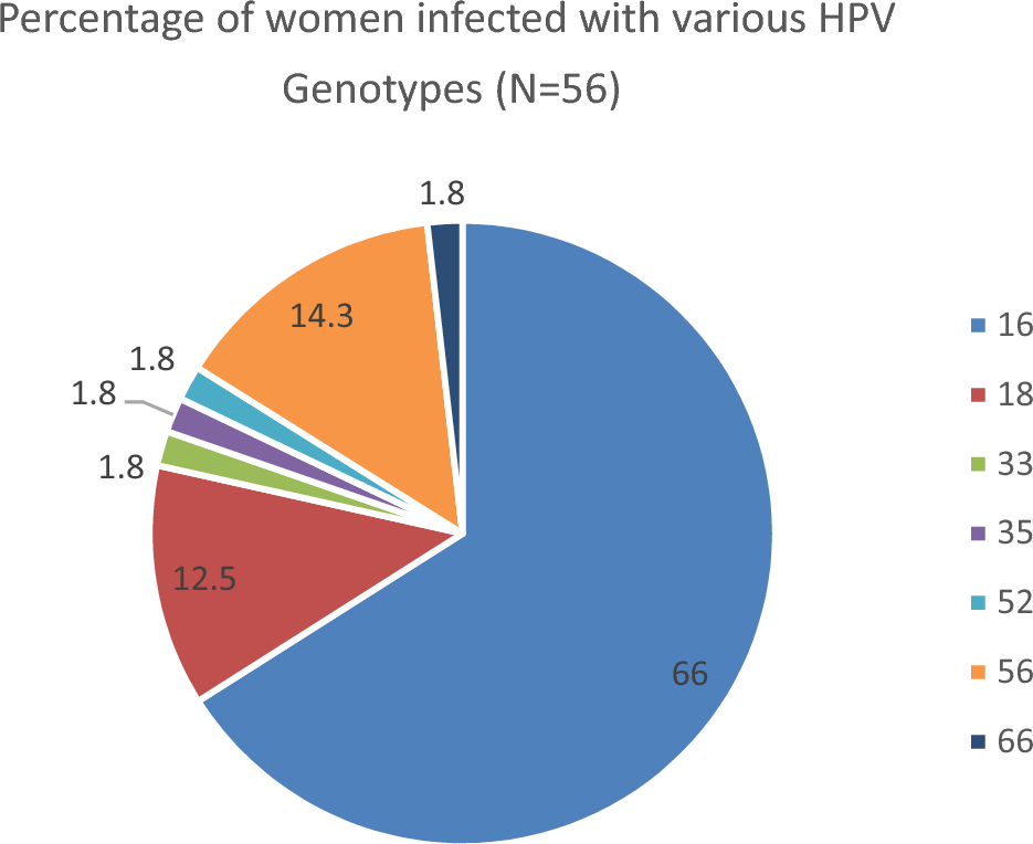 Prevalence of High-Risk HPV Among Women with Abnormal Pap Smears—A Hospital Based Cross-Sectional Analytical Study