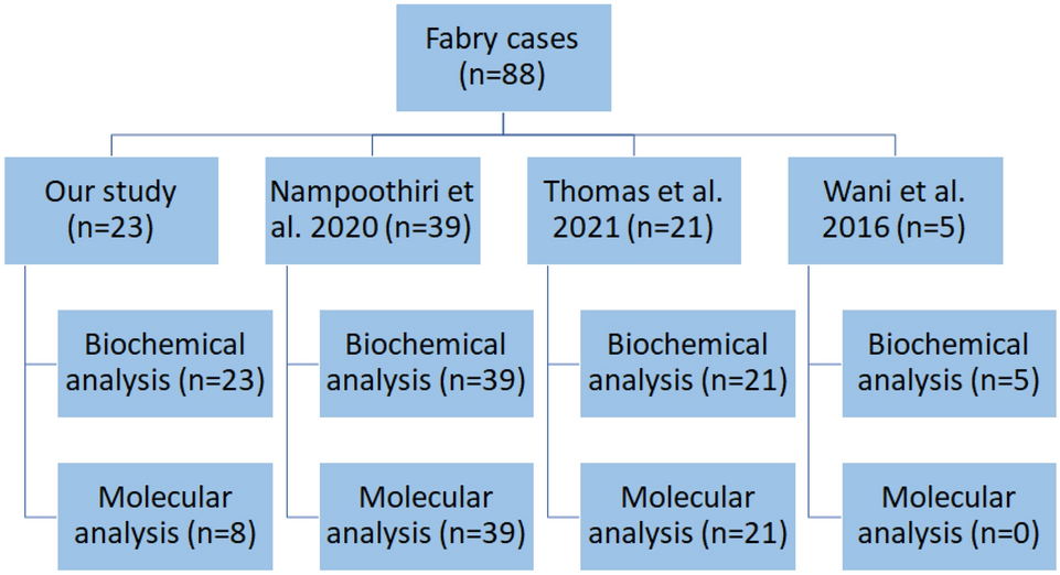 Phenotypic Evolution in Fabry Disease: Our Experience in Indian Cohort