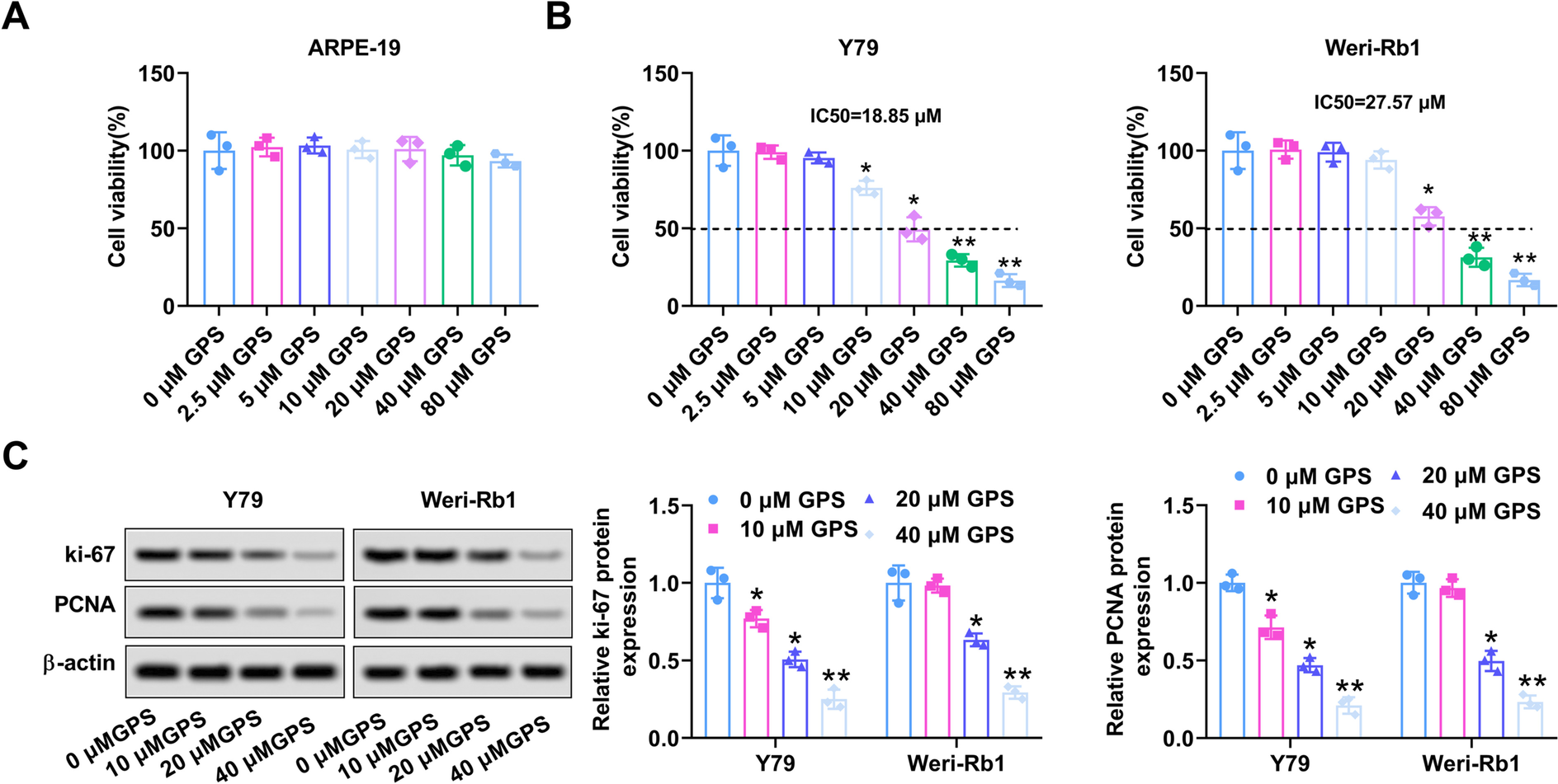 Gentiopicroside inhibits retinoblastoma cell proliferation, invasion, and tumorigenesis in nude mice by suppressing the PI3K/AKT pathway