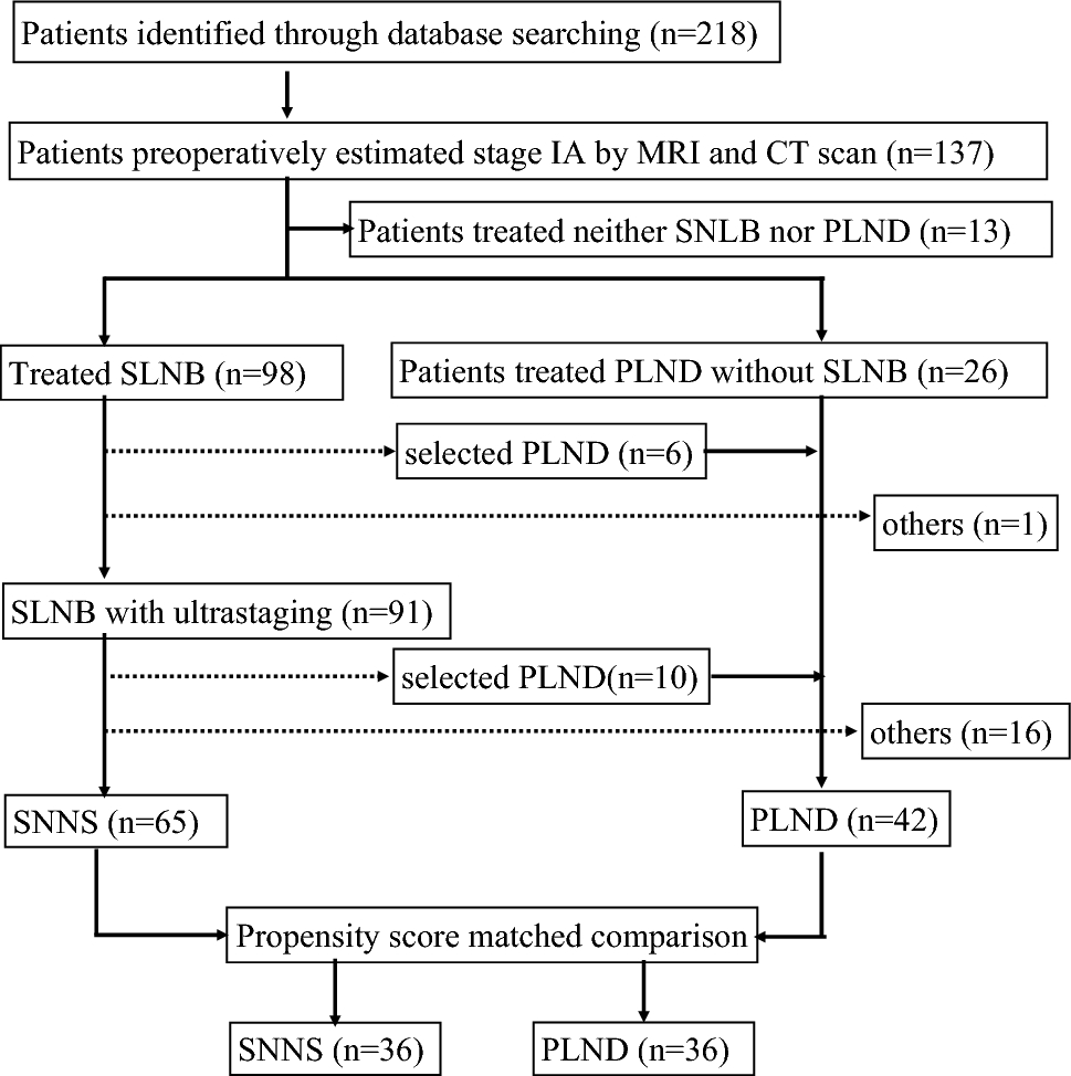 Clinical outcomes of sentinel node navigation surgery in patients with preoperatively estimated stage IA endometrial cancer and evaluation of validity for continuing sentinel node navigation surgery based on dispersion of recurrence probability