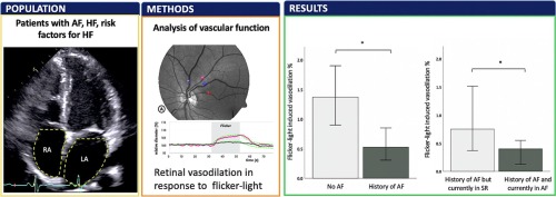 Impaired retinal micro-vascular function in patients with atrial fibrillation