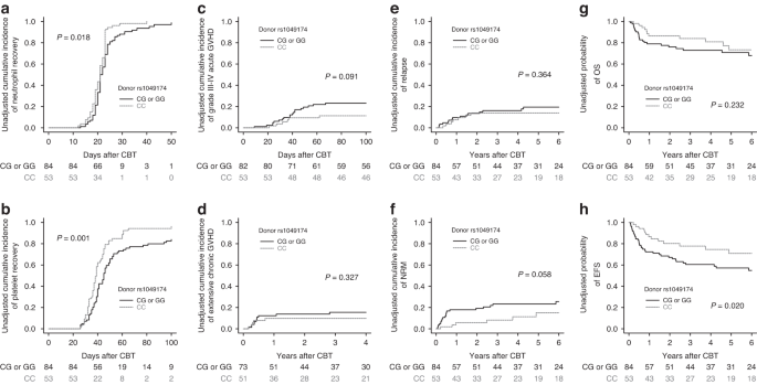 Donor NKG2D rs1049174 polymorphism predicts hematopoietic recovery and event-free survival after single-unit cord blood transplantation in adults