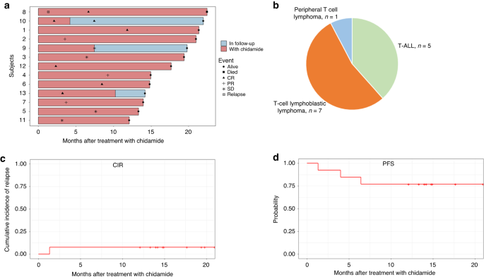 Selective histone deacetylase inhibitor after allo-HCT for T-cell acute lymphoblastic leukemia or T-cell lymphoma