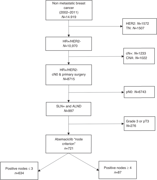 Rethinking surgical revisions: impact of the MonarchE trial on axillary dissection in hormone-positive HER2-negative early breast cancer patients potentially eligible for abemaciclib