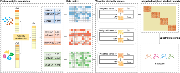 wMKL: multi-omics data integration enables novel cancer subtype identification via weight-boosted multi-kernel learning