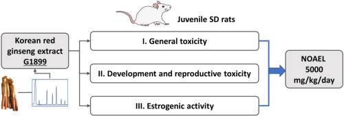 Assessing systemic, developmental, and reproductive toxicity and estrogenicity of Korean red ginseng extract G1899 in juvenile Sprague-Dawley Rats
