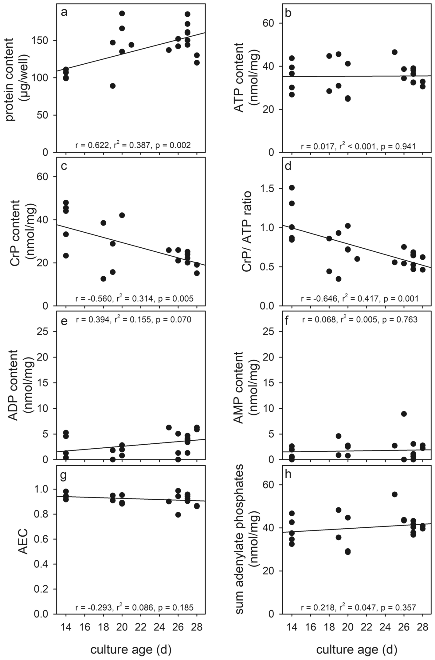 Modulation of Cellular Levels of Adenosine Phosphates and Creatine Phosphate in Cultured Primary Astrocytes