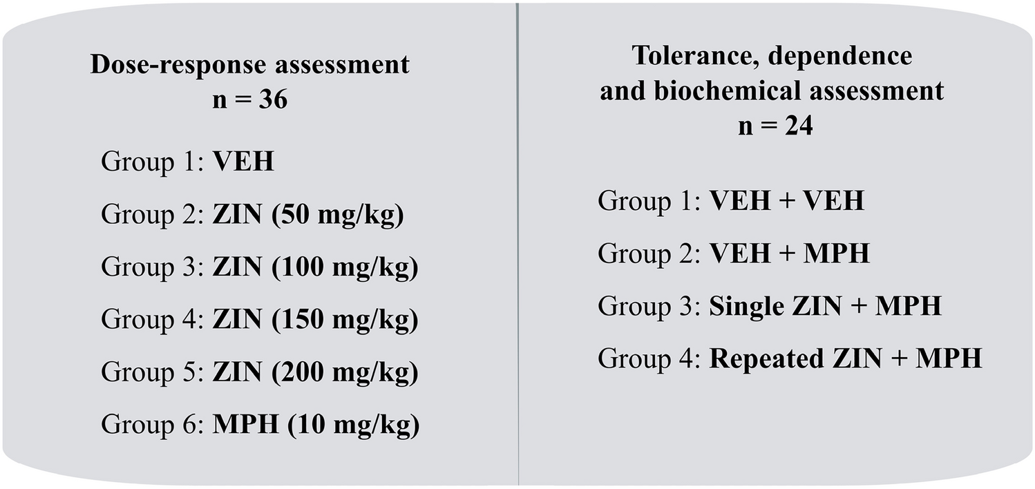 Zingerone Alleviates Morphine Tolerance and Dependence in Mice by Reducing Oxidative Stress-Mediated NLRP3 Inflammasome Activation