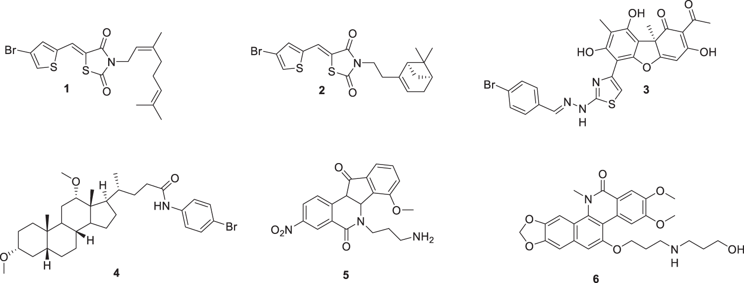 Synthesis of adamantane-monoterpene conjugates with 1,3,4-thiadiazol-2(3H)-imine linker and evaluation of their inhibitory activity against TDP1