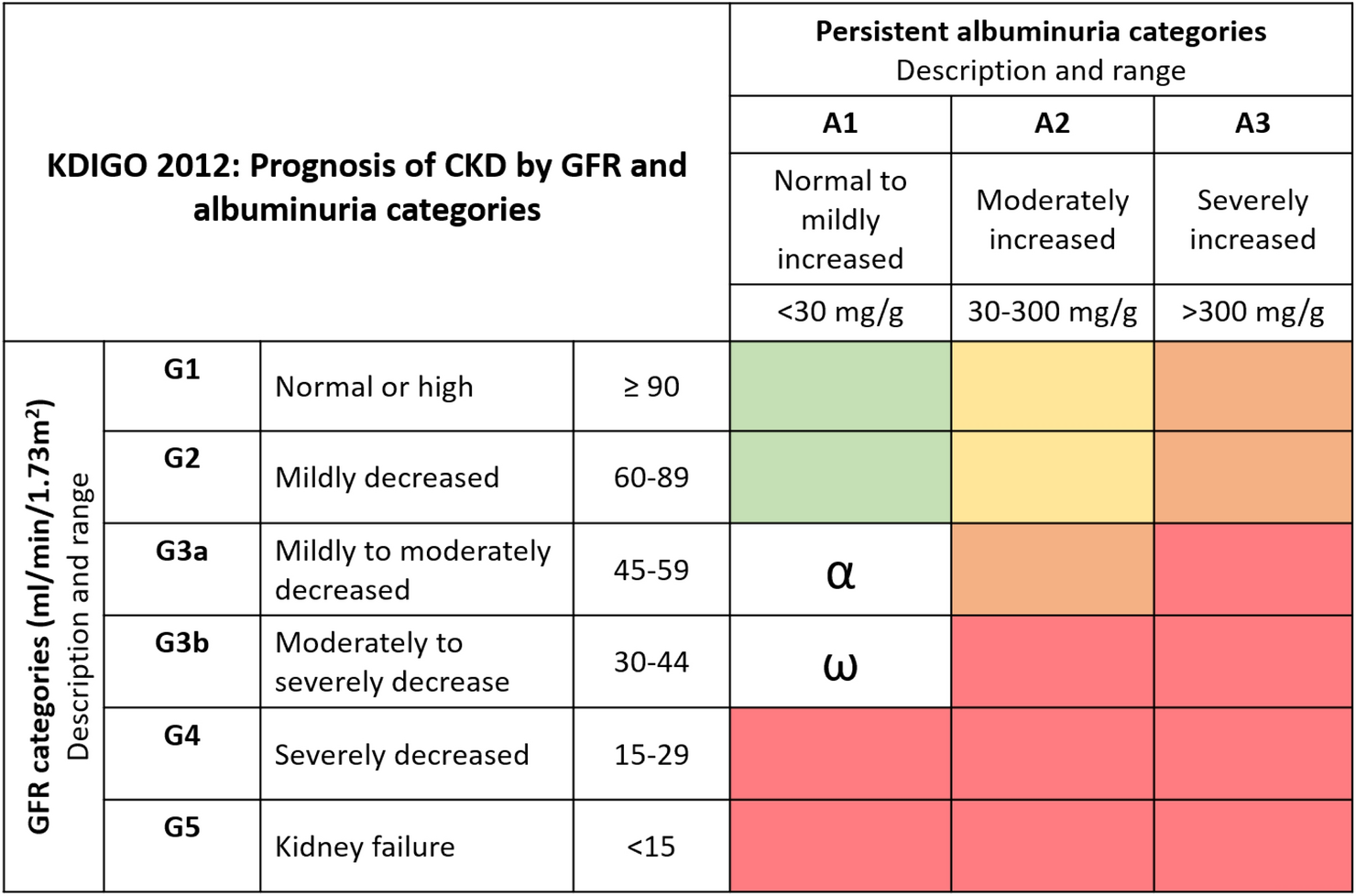 The fourth wave in chronic kidney disease (CKD) classification: taking into account the aging kidney